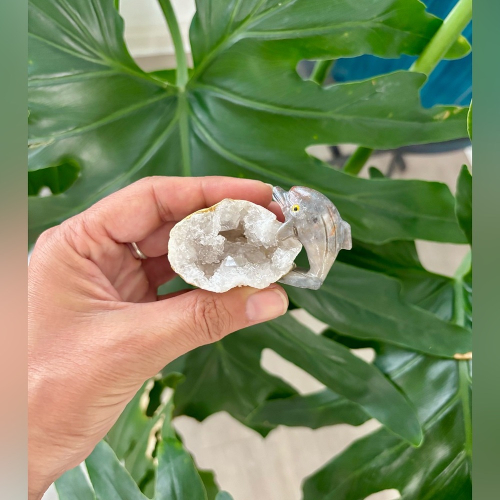 Dolphin figurine ~ Soapstone & Quartz Geode